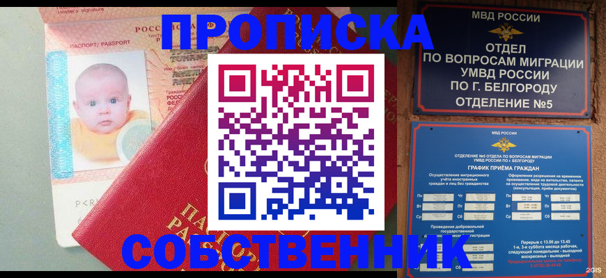 прописка для школы в Шадринске